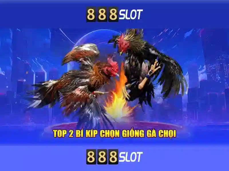 Giới Thiệu Về 888SLOT