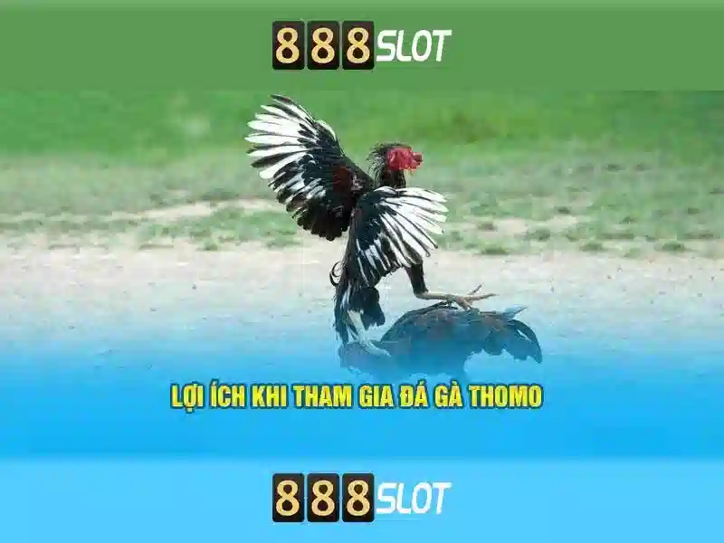 Giới Thiệu Về 888SLOT