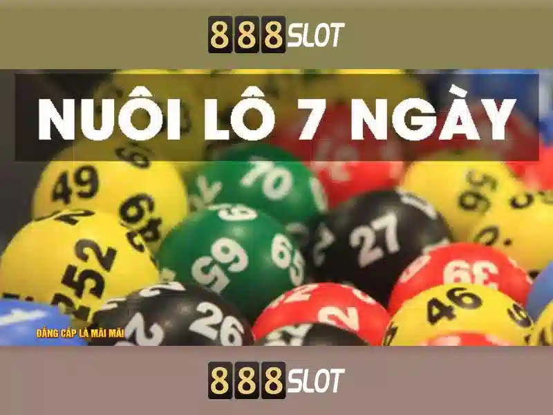 Trải nghiệm Slot 888SLOT