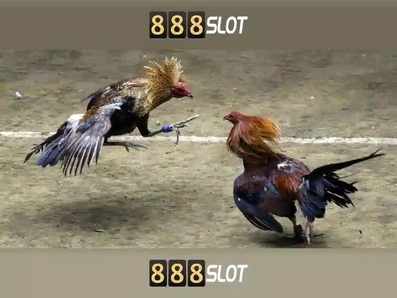 Trò chơi SLOT tại 888slot