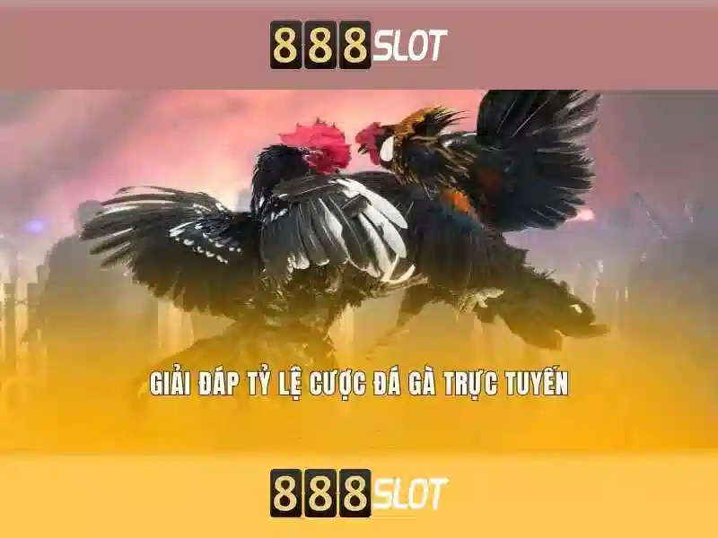 Đánh Giá 888SLOT