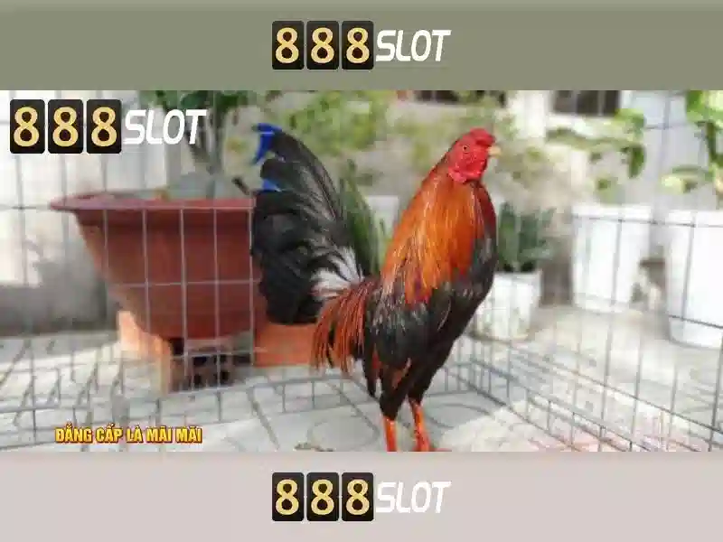 Ưu Điểm Nổi Bật Của Trò Chơi Casino 888SLOT