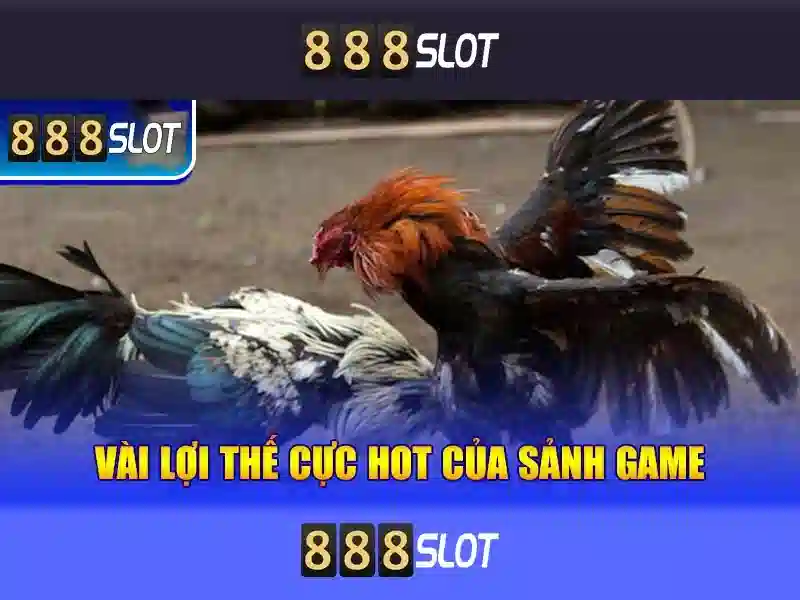 Trải Nghiệm Cá Cược