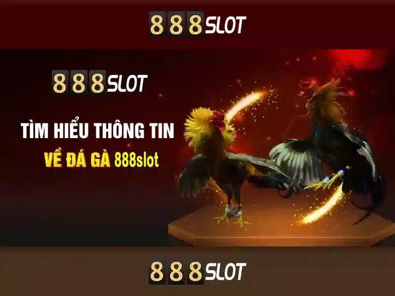 Ưu Đãi Đặc Biệt