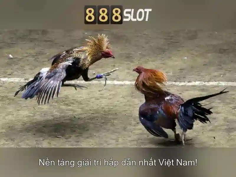 Rút tiền Slot 888SLOT
