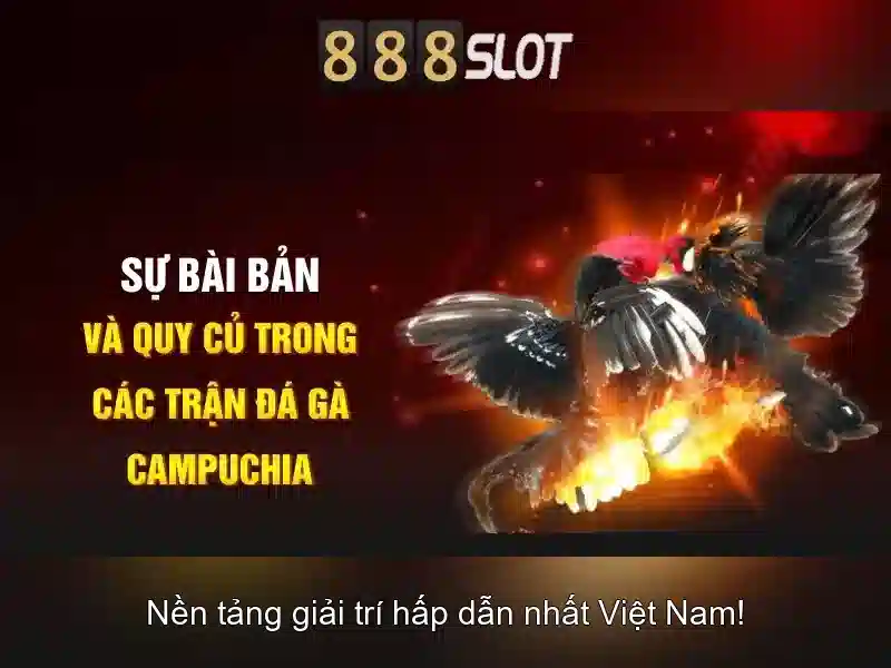 Tại Sao Nên Chọn 888SLOT