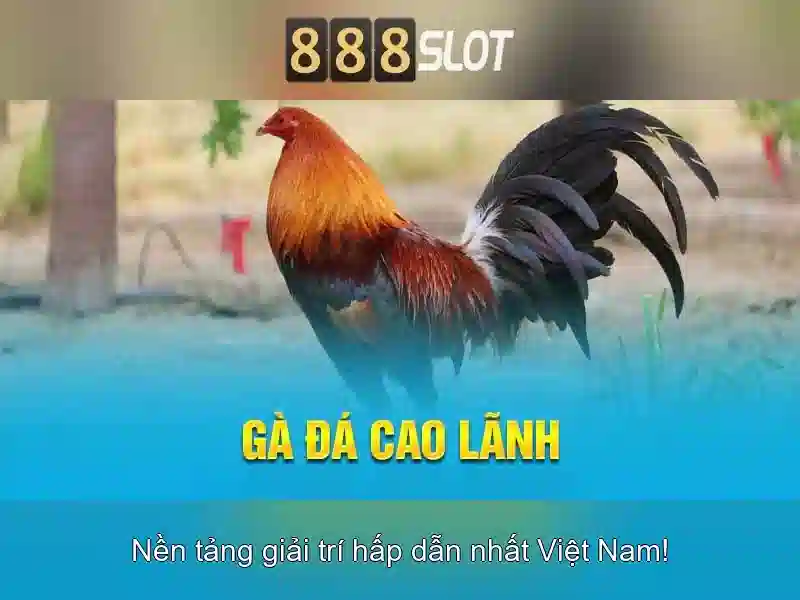 Trải nghiệm slot 888SLOT