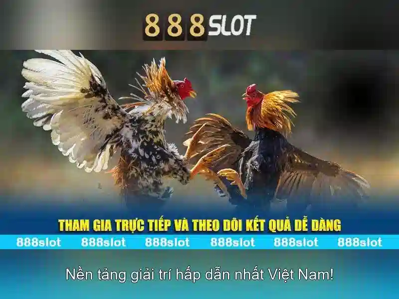 Khuyến Mãi Slot