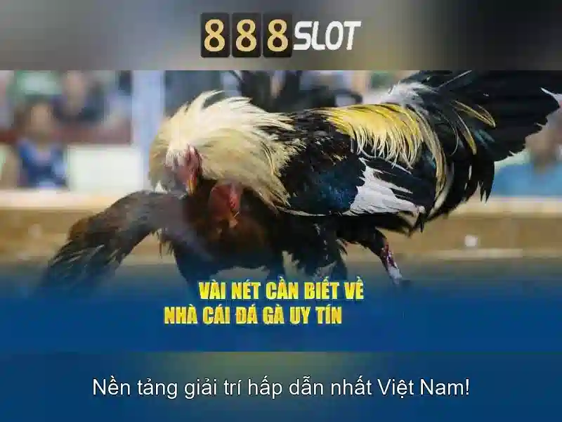 888SLOT – Trang Chủ 888SLOT Chính Thức Không Bị Chặn 2026